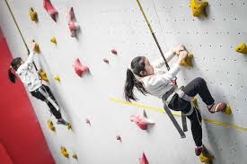 CBA常规赛：北京控股主场4分惜败广东东阳光